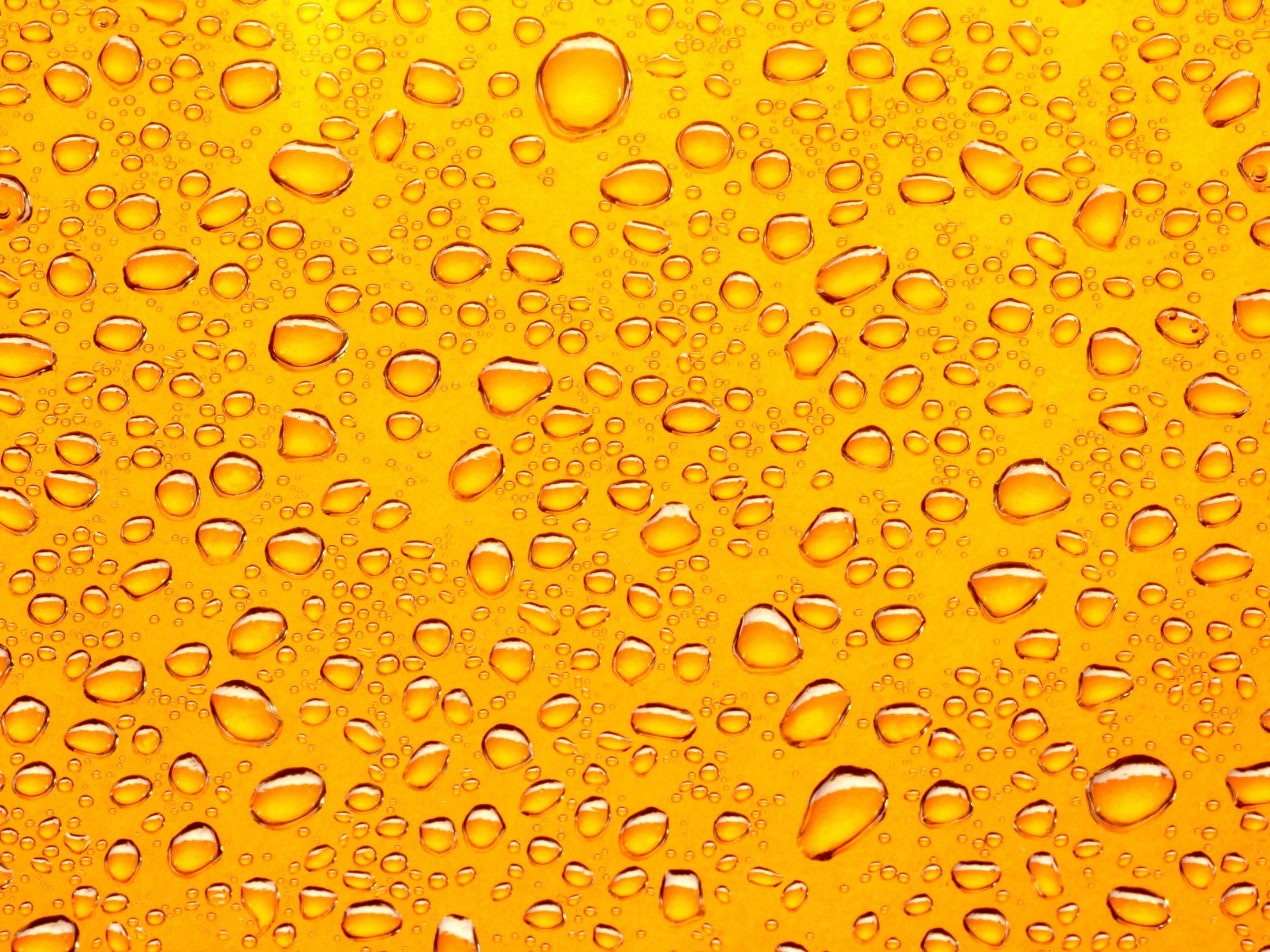 A field of golden droplets