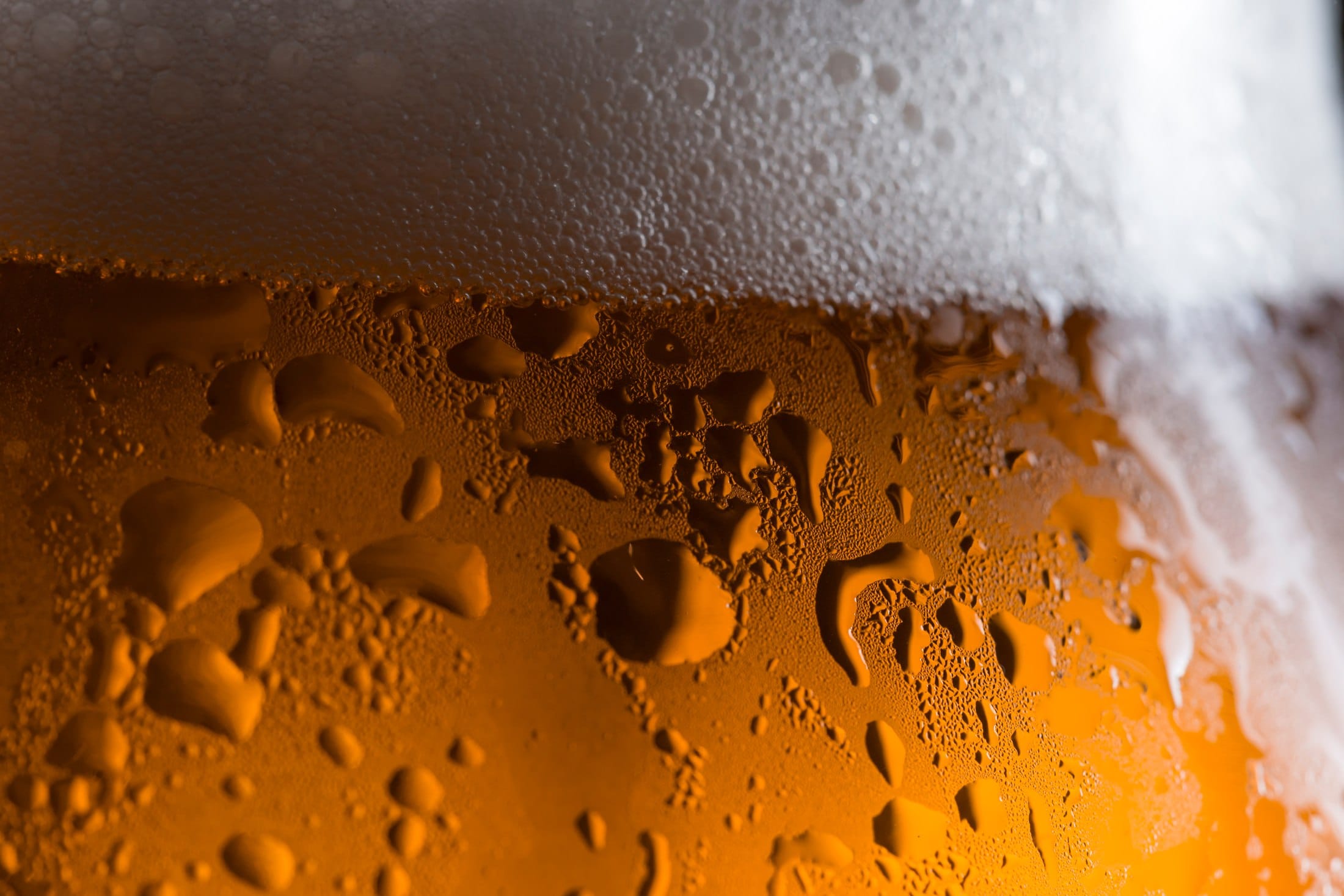 An intimate study of amber beer